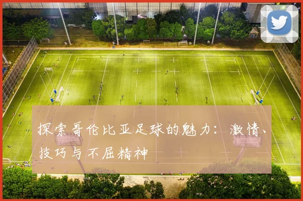 探索哥伦比亚足球的魅力:激情、技巧与不屈精神